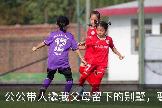 公公带人撬我父母留下的别墅，要卖1500万给小姑子还赌债，我掏出手机报了警，顺便叫来一大群记者