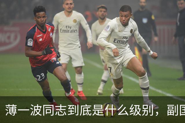 薄一波同志到底是什么级别,副国级?还是正国级?